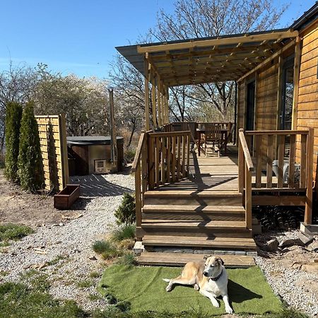 Tiny Beach House Heated And Airconditioned Wapnica  Екстер'єр фото